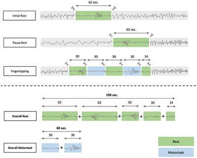 Are High Frequency Oscillations in Scalp EEG Related to Age?